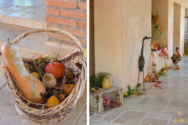 Organiser un mariage en automne